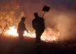 Областният управител издаде ЗАПОВЕД за определяне на пожароопасния сезон в горските територии, ЗАДЪЛЖЕНИЯ и РЕСТРИКЦИИ
