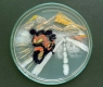 РЗИ - Пазарджик е ПОБЕДИТЕЛ в четвъртия национален конкурс АГАР АРТ - рисунка с микроорганизми  
